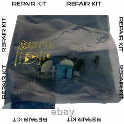 REPAIR Kit 99 00 01 02 03 BMW 540i or M5 ABS Pump Control Module WE INSTALL